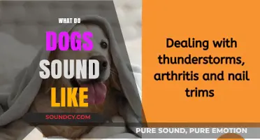 Decoding Dog Sounds: Understanding Barks, Whines, and Howls