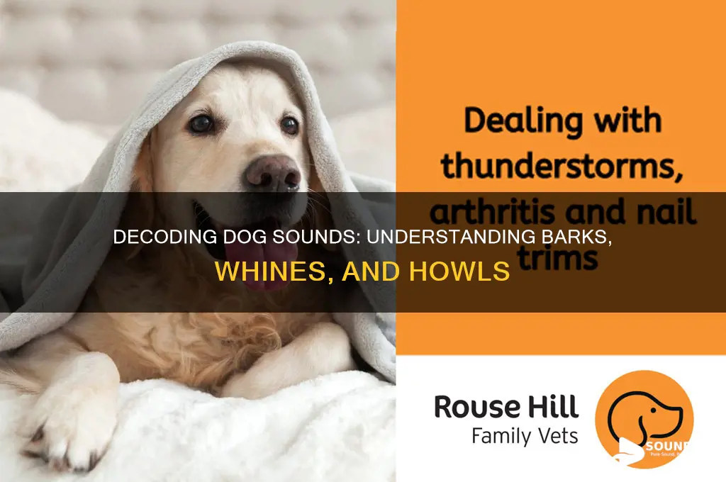 what do dogs sound like