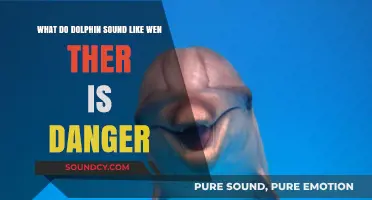Echoes of Alert: Decoding Dolphin Danger Calls in the Deep