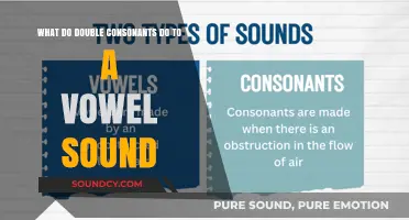 Unlocking Phonics: How Double Consonants Transform Vowel Sounds