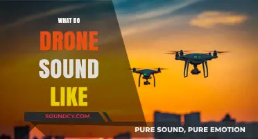 Decoding Drone Noises: What Do Drones Sound Like in Flight?