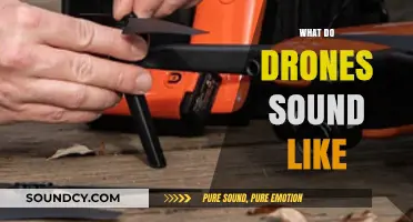 Decoding Drone Noises: Understanding the Unique Sounds Drones Produce