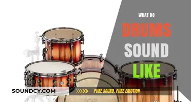 Exploring the Rich, Vibrant, and Diverse Sounds of Drums