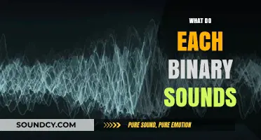 Decoding Binary Sounds: Understanding the Unique Audio of 0s and 1s