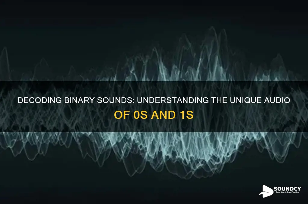 what do each binary sounds