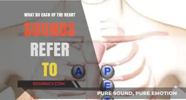 Decoding the Symphony of Your Heart: Understanding Each Beat