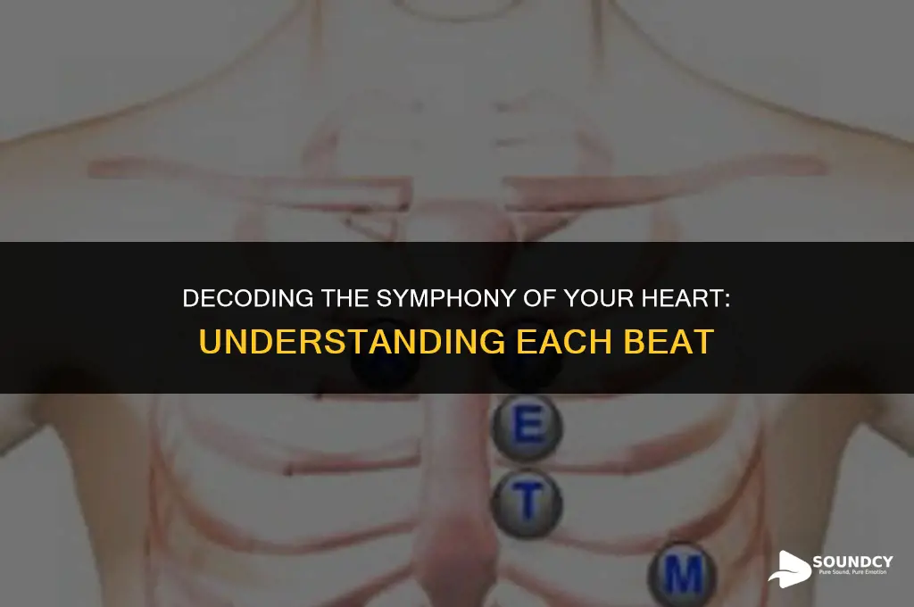 what do each of the heart sounds refer to