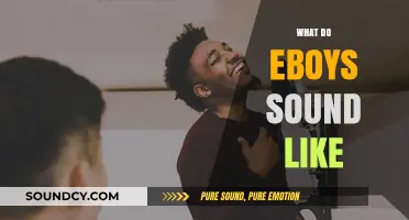 Unveiling the Unique Vocal Tones and Accents of Eboys