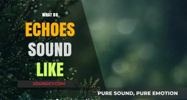 Unraveling the Mystique: What Do Echoes Sound Like in Nature?