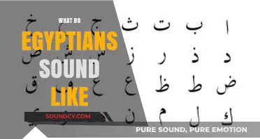 Exploring the Unique Egyptian Accent: How Egyptians Sound to the World