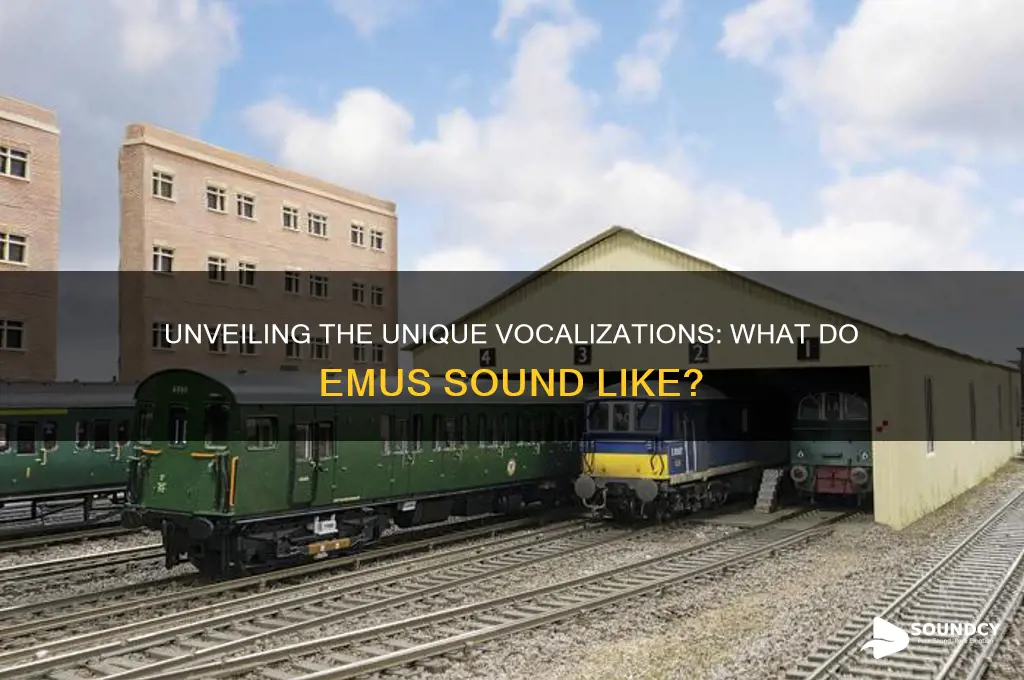 what do emus sound like