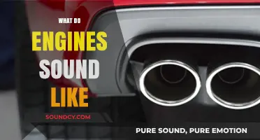 Exploring the Unique Sounds of Different Engine Types and Models