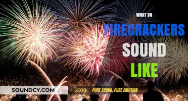 Explosive Echoes: Unveiling the Unique Sounds of Firecrackers