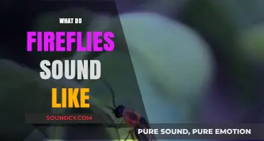 The Silent Glow: Unveiling the Surprising Sounds of Fireflies