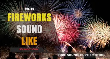 Explosive Echoes: Decoding the Unique Sounds of Fireworks