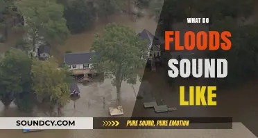 The Acoustic Fury of Floods: Unraveling Nature's Chaotic Symphony