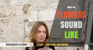 What Do Flowers Sound Like? Exploring Nature's Silent Symphony
