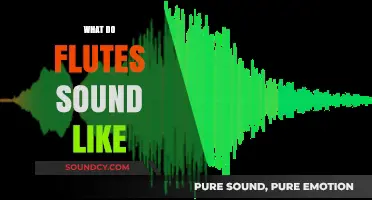 Exploring the Unique, Melodic, and Expressive Sound of Flutes