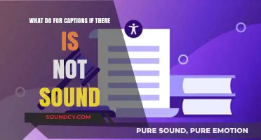 Crafting Compelling Captions for Silent Visuals: A Guide