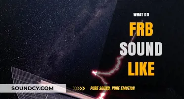 Unveiling the Mysterious Sounds of Fast Radio Bursts: What Do FRBs Sound Like?