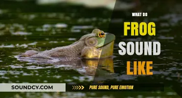Exploring the Unique Croaks and Calls of Frogs in Nature