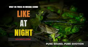 Indiana's Nocturnal Symphony: The Enigmatic Sounds of Frogs at Night