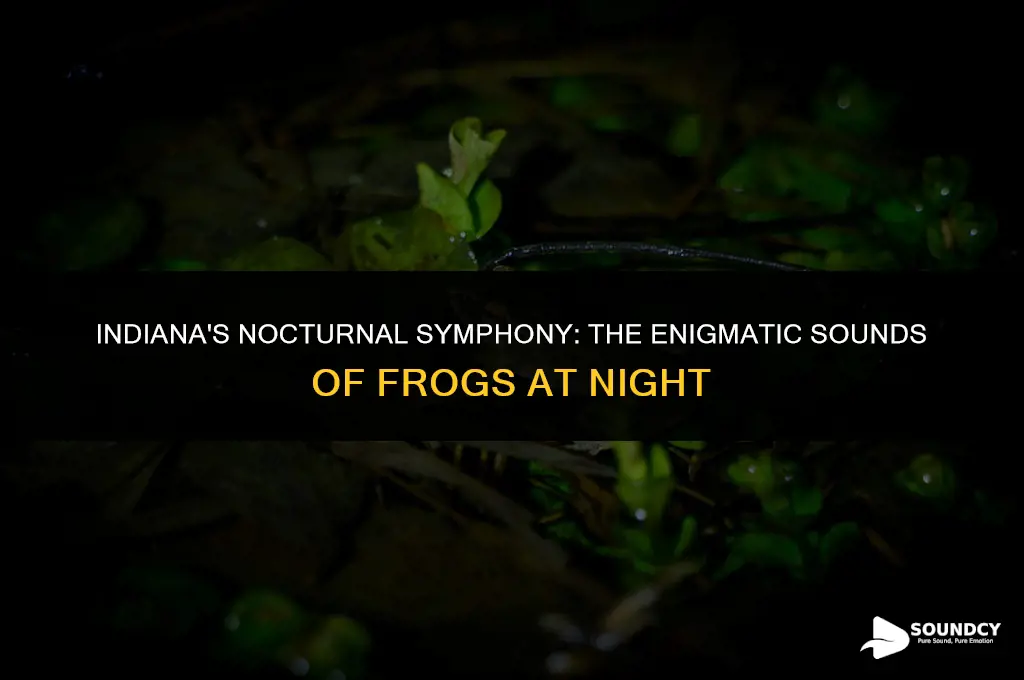 what do frogs in indiana sound like at night