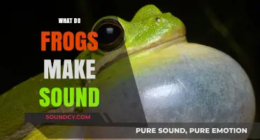 Why Do Frogs Croak? Exploring the Science Behind Their Unique Sounds