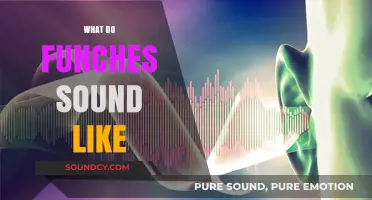 Unveiling the Unique Sounds of Funches: A Comprehensive Auditory Guide