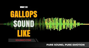 Unveiling the Unique Rhythms: What Do Gallops Sound Like?