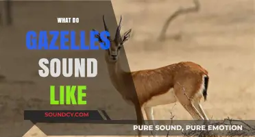 Unveiling the Unique Vocalizations: What Do Gazelles Sound Like?