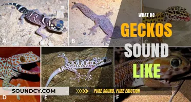 Unveiling the Unique Sounds of Geckos: A Comprehensive Guide