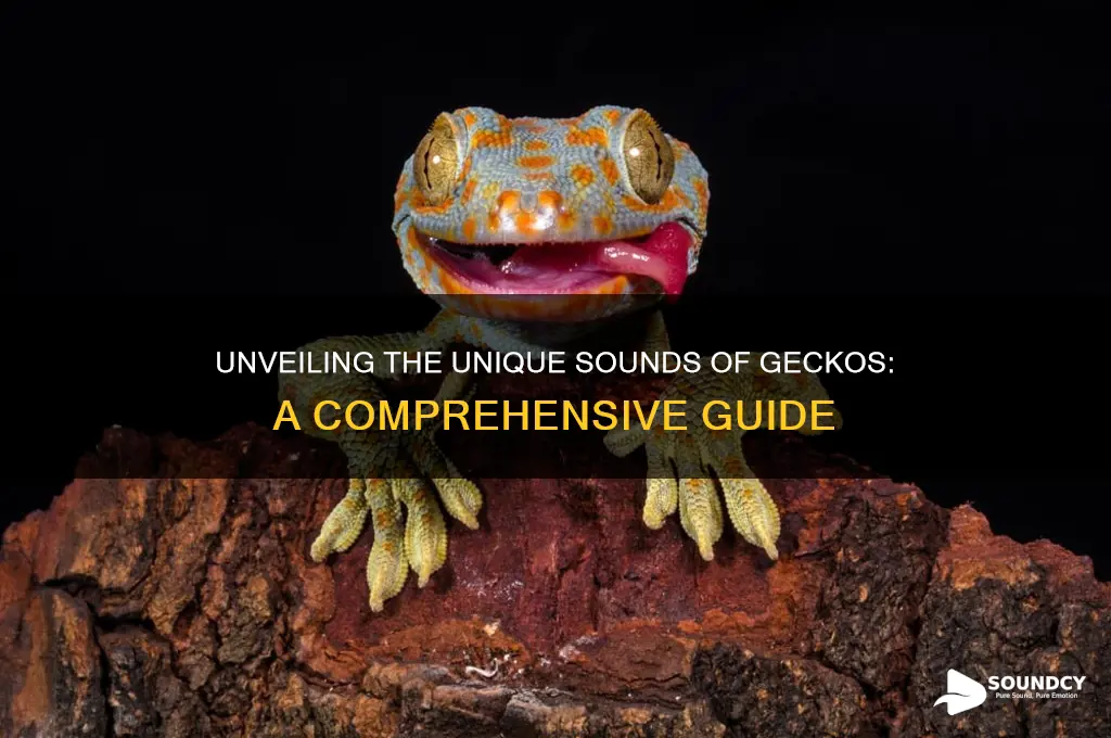 what do geckos sound like