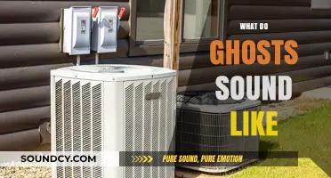 Eerie Echoes: Unveiling the Mysterious Sounds of Ghosts