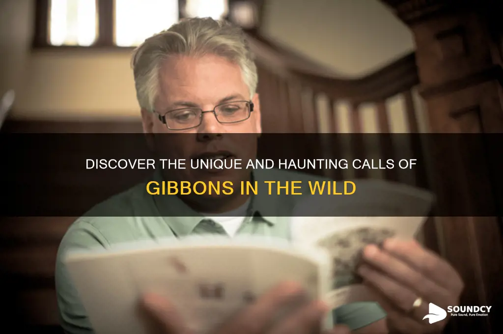 what do gibbons sound like