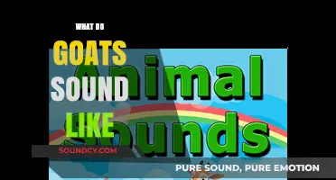 Unveiling the Unique Vocalizations: What Do Goats Sound Like?
