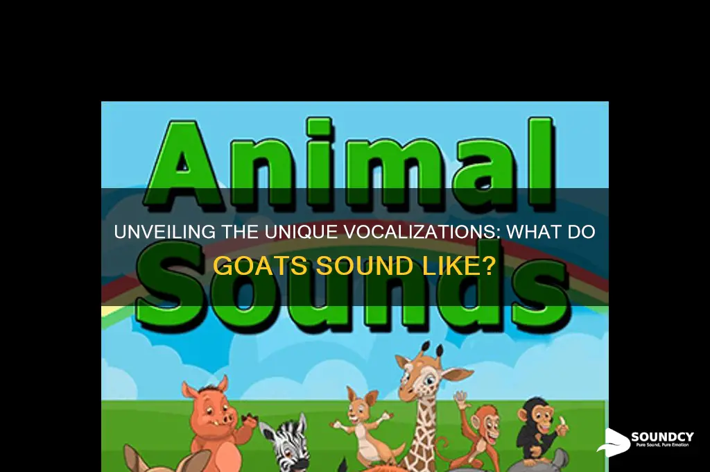 what do goats sound like