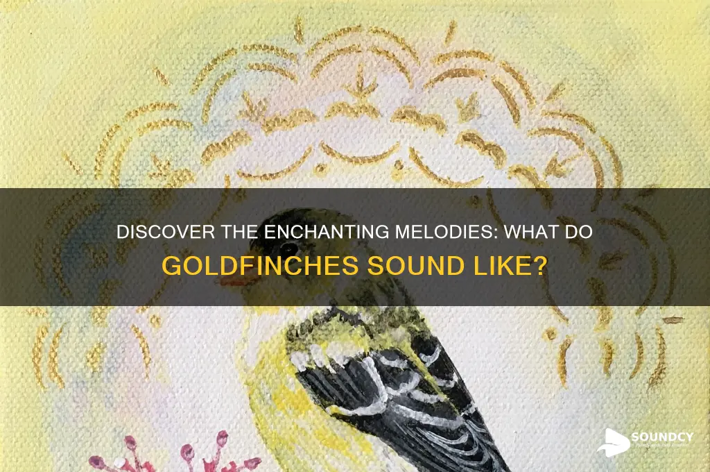 what do goldfinch sound like