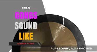 Exploring the Mystical, Vibrant, and Resonant Sounds of Gongs
