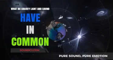 Unveiling the Cosmic Symphony: Gravity, Light, and Sound's Unified Dance