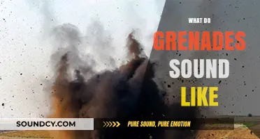 Explosive Insights: Unveiling the Distinct Sounds of Grenades