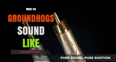 Unveiling the Unique Sounds of Groundhogs: A Comprehensive Guide
