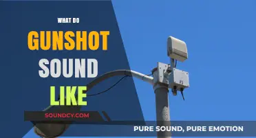 Unveiling the Distinct Acoustic Signature of Gunshots: What to Listen For