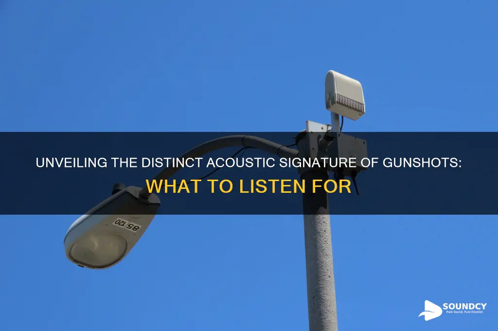what do gunshot sound like