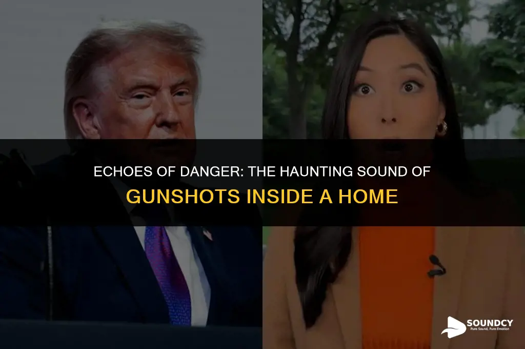 what do gunshots sound like from inside a house