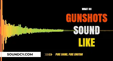 Unveiling the Distinctive Sound of Gunshots: What to Expect