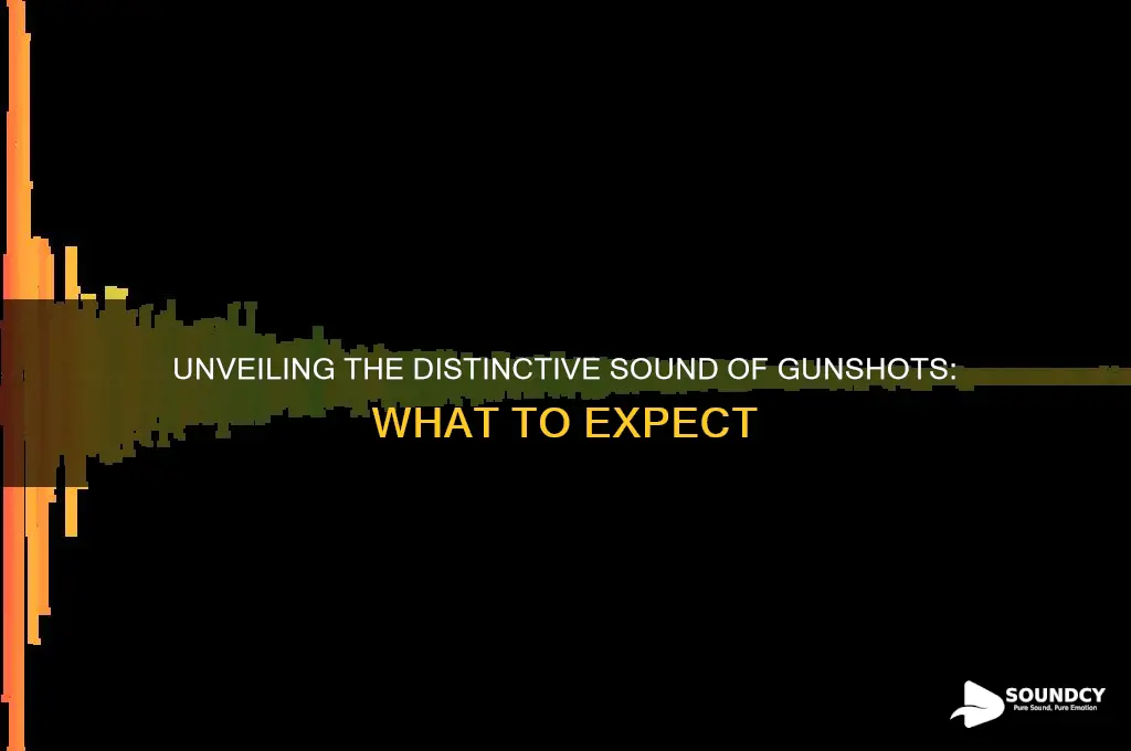 what do gunshots sound like