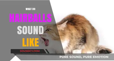 Unraveling the Mystery: What Do Hairballs Sound Like in Cats?
