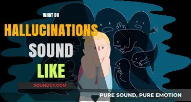 Unveiling the Auditory World of Hallucinations: What Do They Sound Like?
