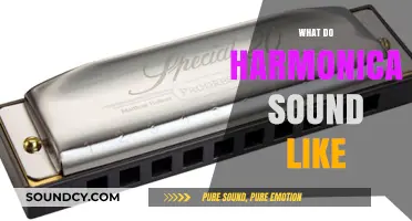 Discover the Unique, Soulful Sounds of the Harmonica: A Guide